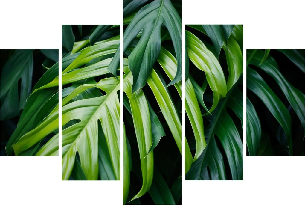 Kép - trópusi levelek (150x105 cm)