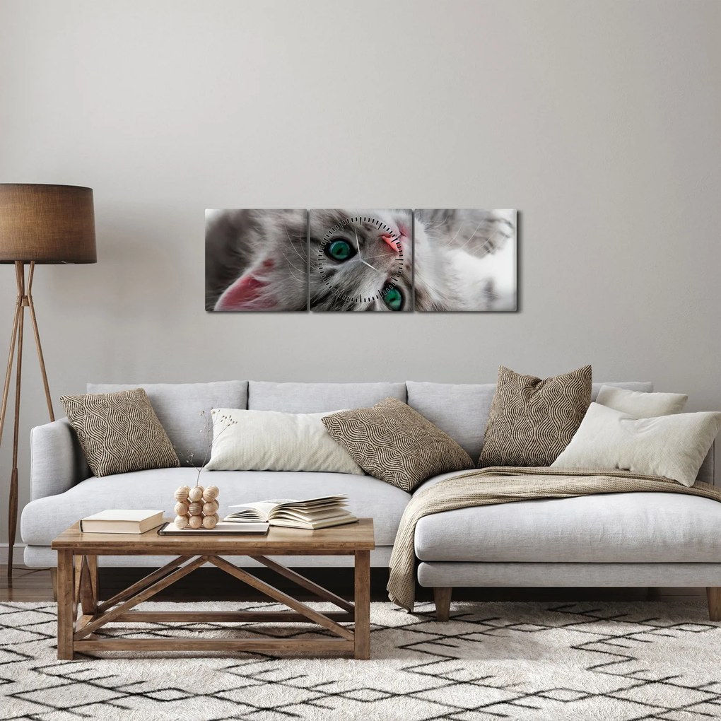 Kép - Macska zöld szemekkel (órával) (90x30 cm)