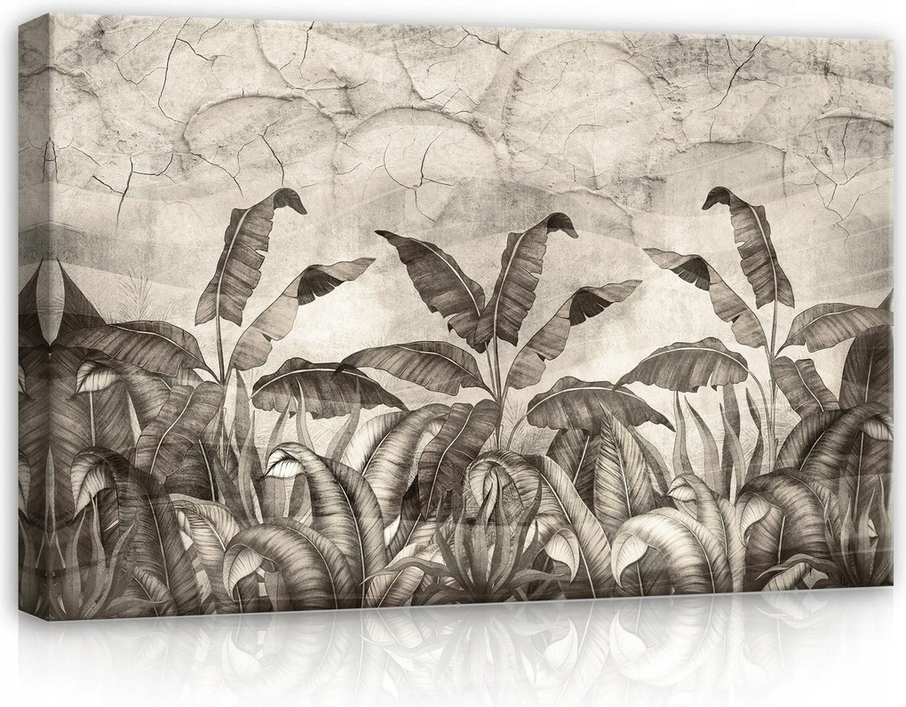 Vászonkép 60x40 Trópusi levelek dzsungel monokróm szürke textúra