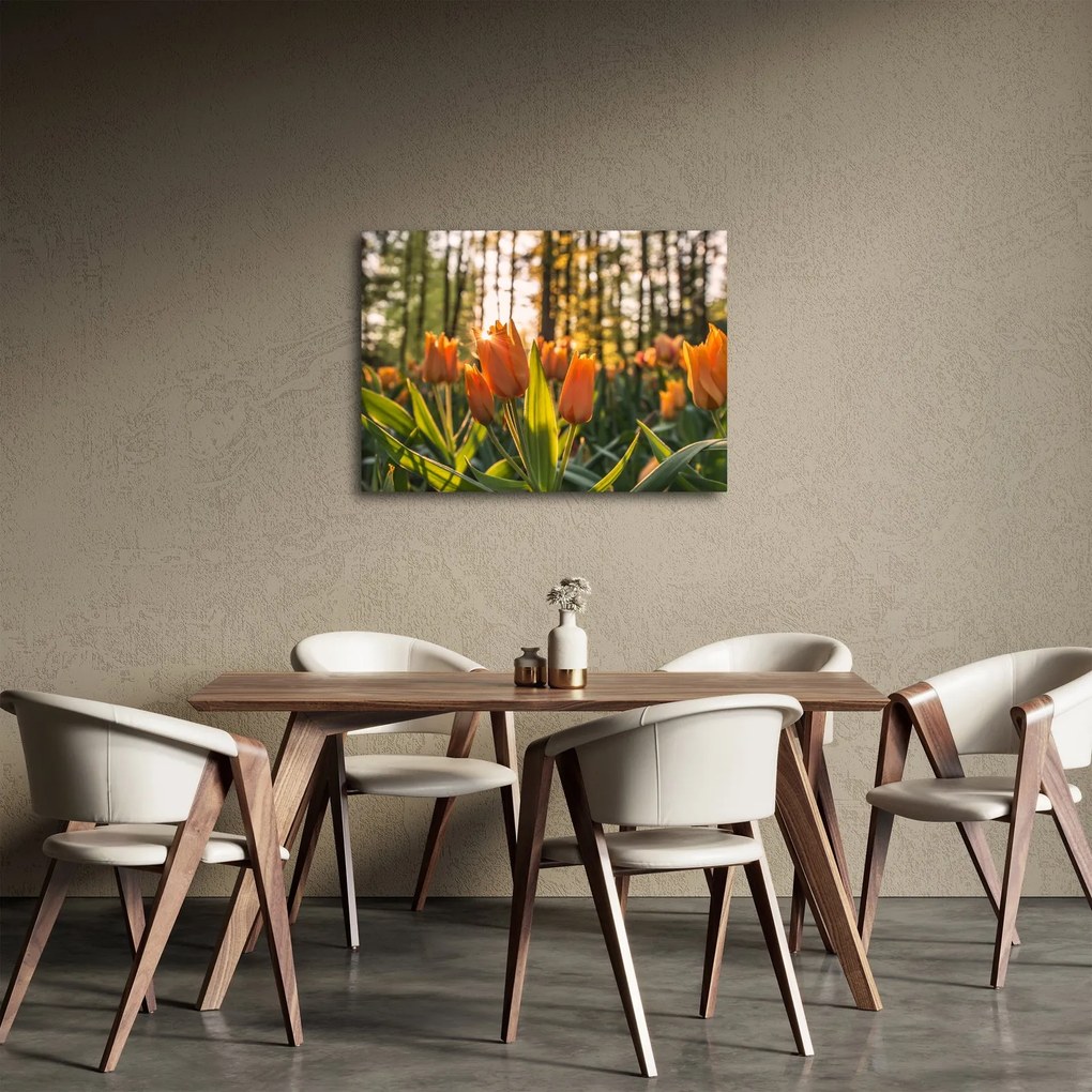 Narancssárga tulipán képe (70x50 cm)