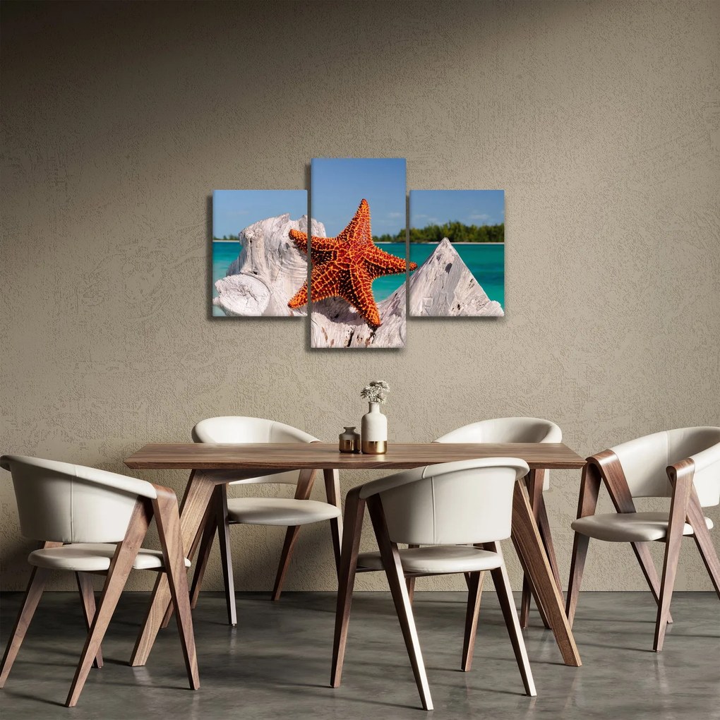 Egy tengeri csillag képe (90x60 cm)
