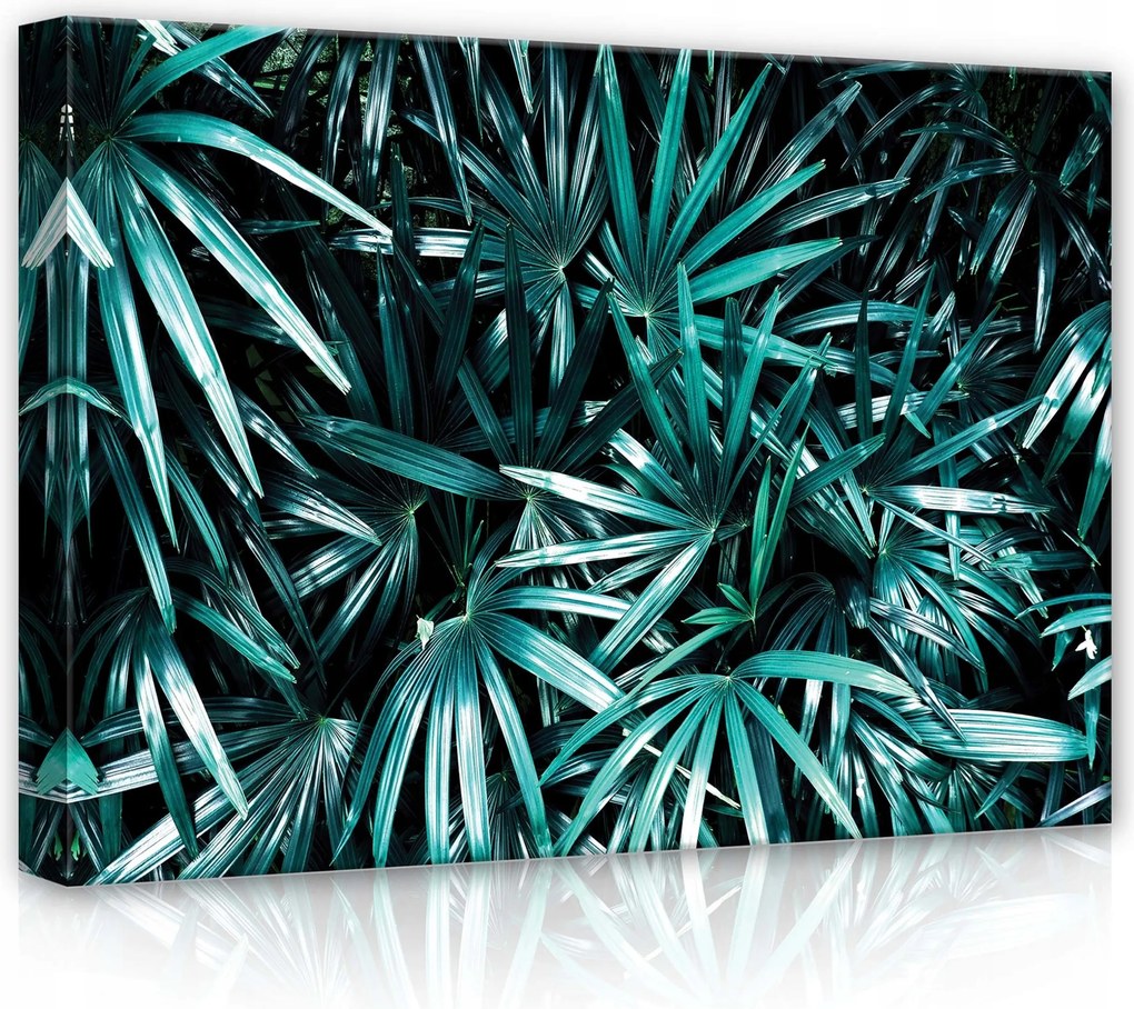 Vászonkép 70x50 Trópusi levelek pálma zöld közelkép frissesség természet egzotikus