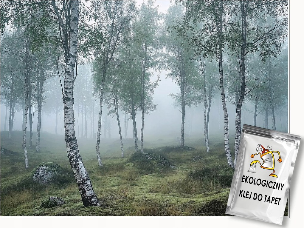 Fotótapéta Nyírerdő 3D Természet Köd Falra Hálószoba Nappali 250x175