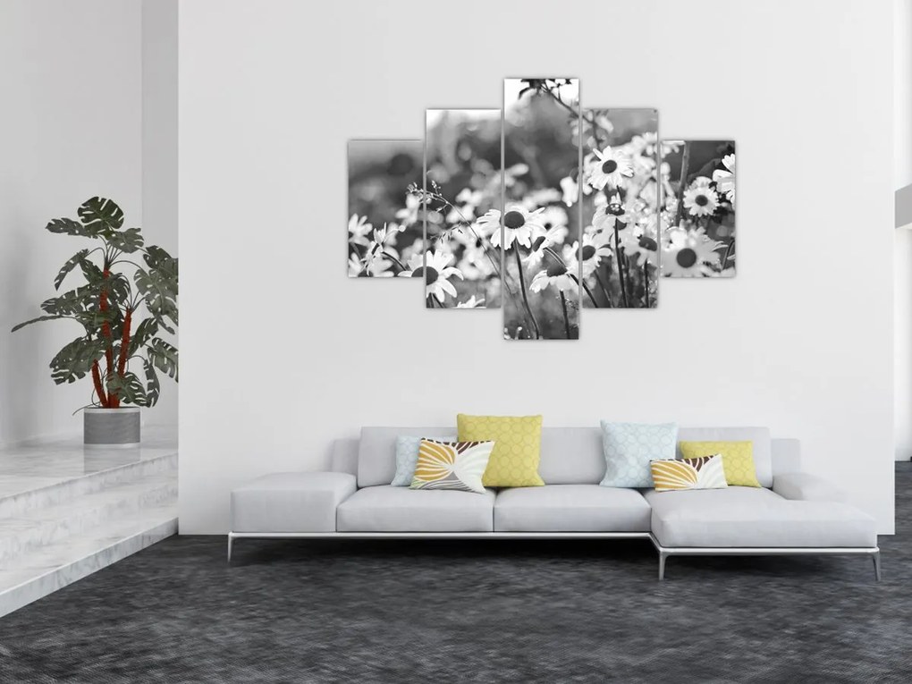 Kép - Százszorszépek (150x105 cm)