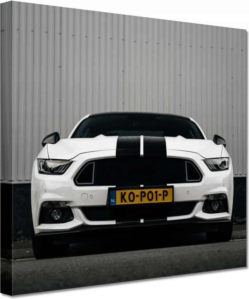 Vászonkép 20x20 Ford Mustang csíkokkal