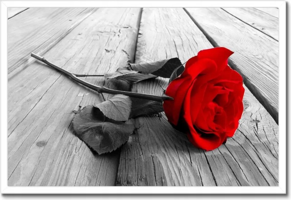 Poszterek keretben 60x40 Vörös rózsa a deszkákon