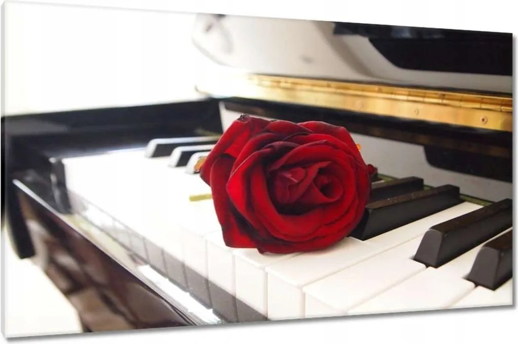 Vászonkép 120x70 Különböző a zongorán