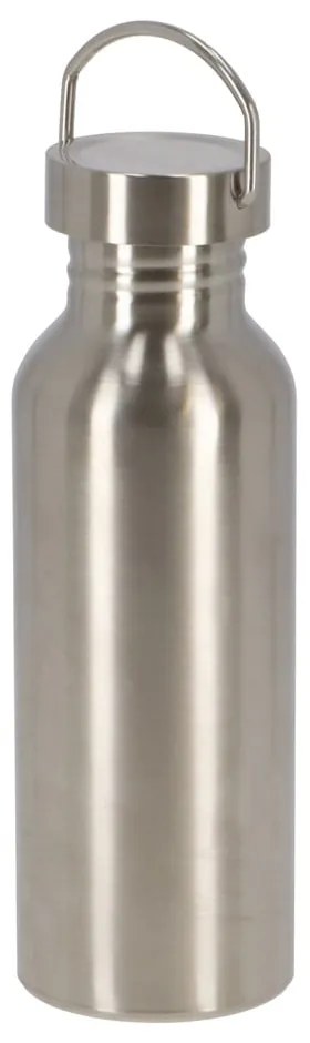 Ezüstszínű rozsdamentes acél ivópalack 650 ml – Esschert Design