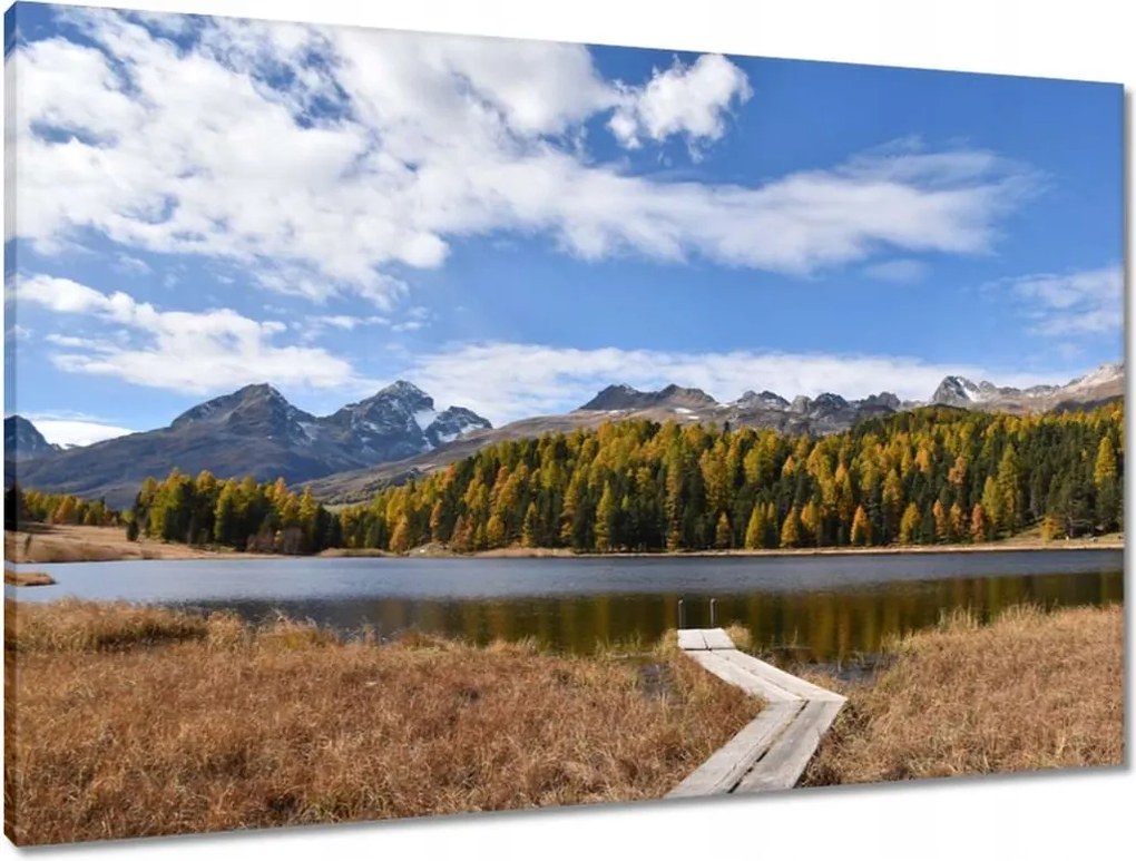 Vászonkép 90x60 Tájkép Fa híd