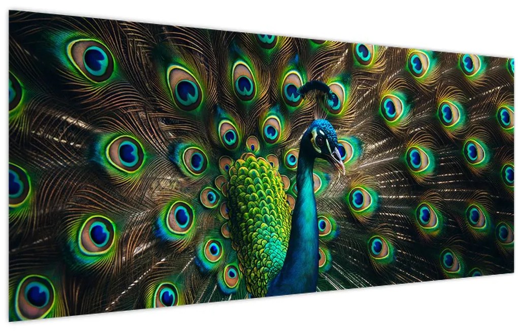 Kép – Pávatoll (120x50 cm)