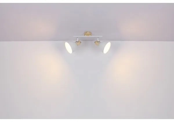 Globo 54018-2 - Spotlámpa WIHO 2xE27/40W/230V