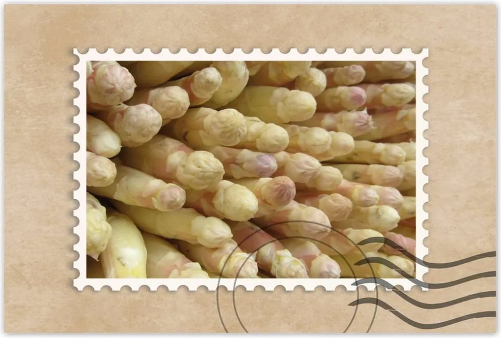 Poszterek 90x60 Friss spárga