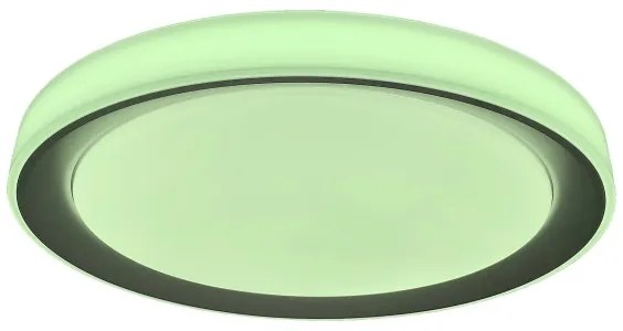 Rabalux 3510-LED RGB dimmelhető mennyezeti lámpa EVEREST LED/40W/230V Wi-Fi + távirányító