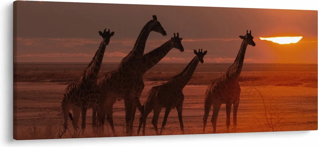 Kép - Zsiráfok az afrikai szavannán (120x50 cm)