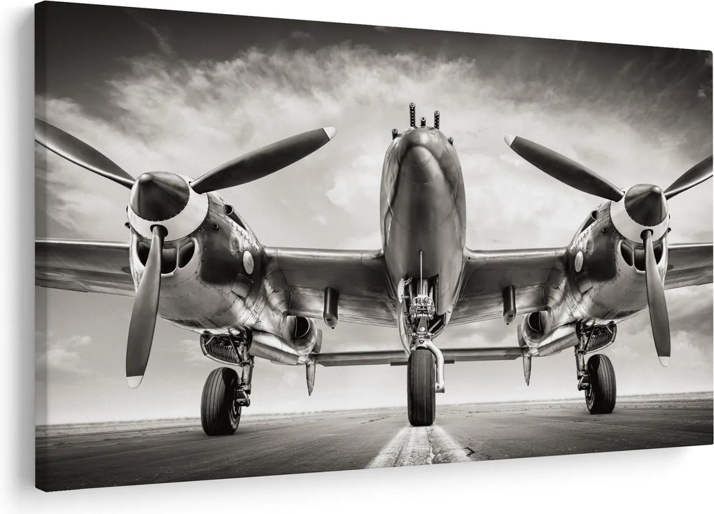 Kép - Warbird (90x60 cm)