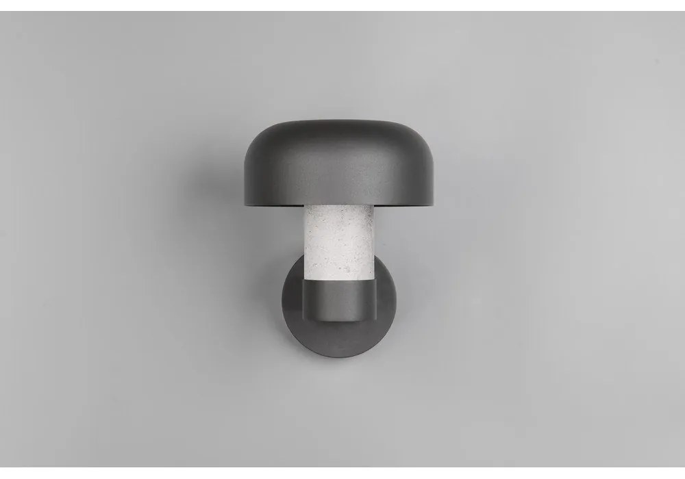 Fali kültéri lámpa (magasság 24,5 cm) Fraser – Trio