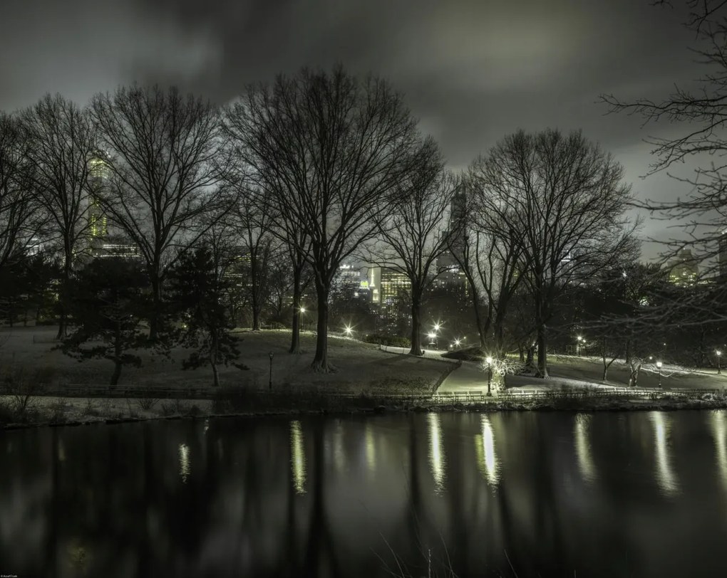 Poszter 76x60,5cm Central Park éjszaka 2, Assaf Frank