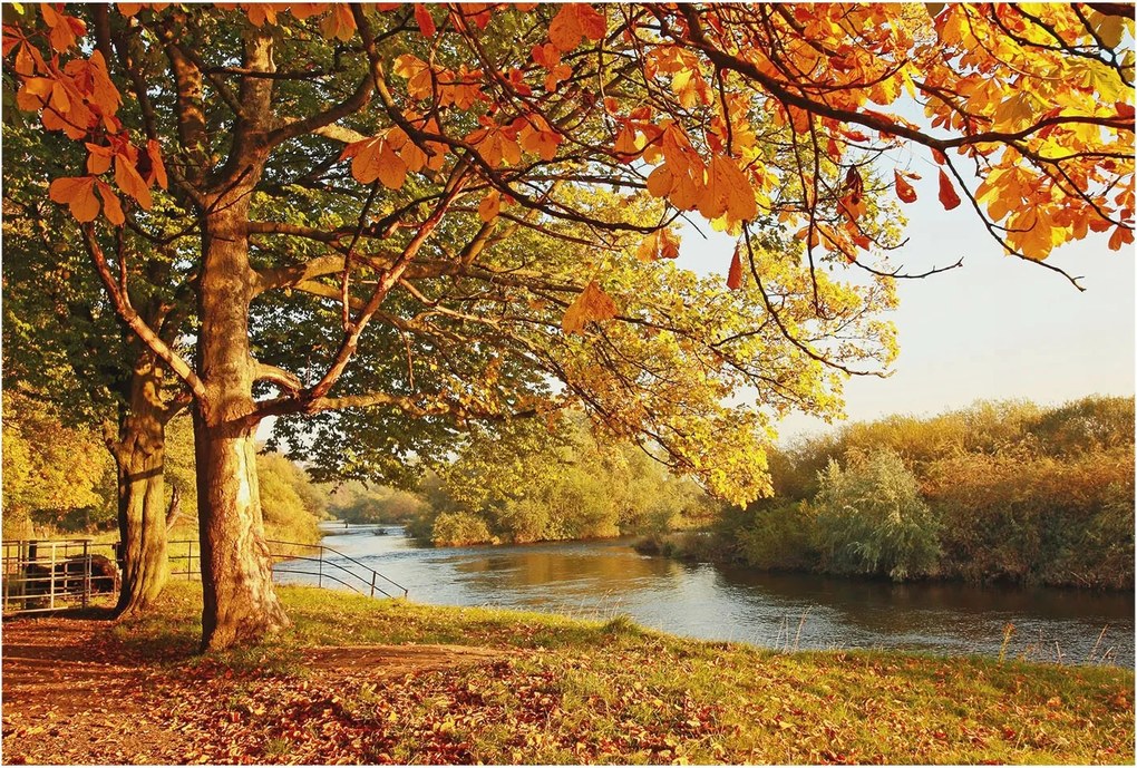 Dekoratív Fotótapéta Hálószobába Őszi tengerpart 104x70