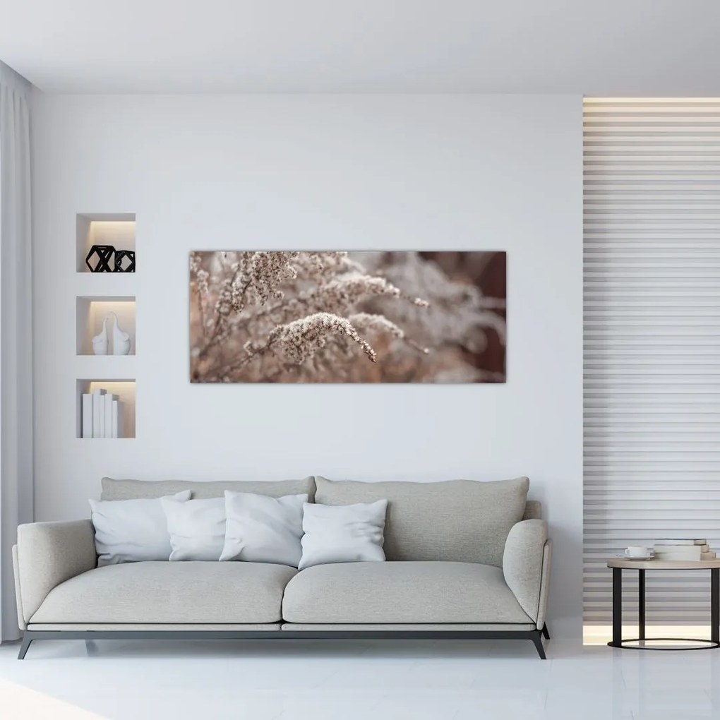 A növények képe (120x50 cm)