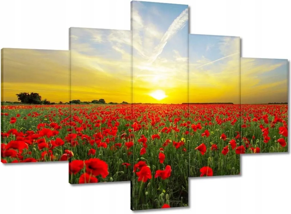 Vászonkép 100x70 Pipacsmező nyugattal