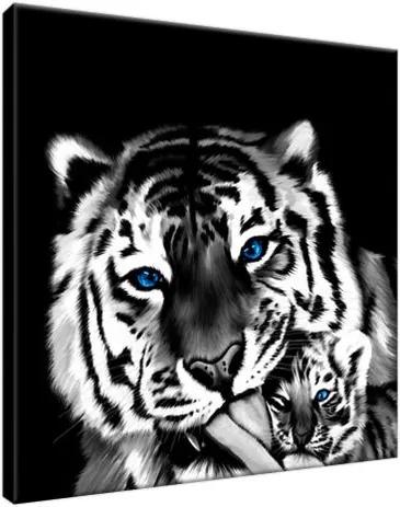 Vászonkép Festett tigrisek 30x30cm 2573A_1AI