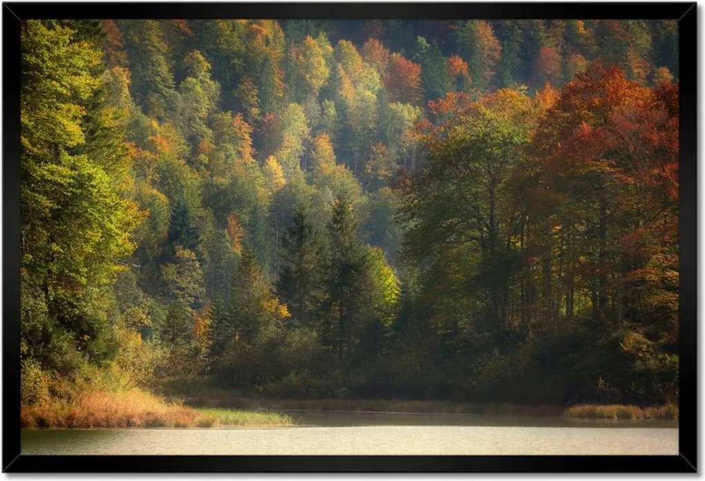 Poszterek keretben 60x40 Erdei táj Kilátás