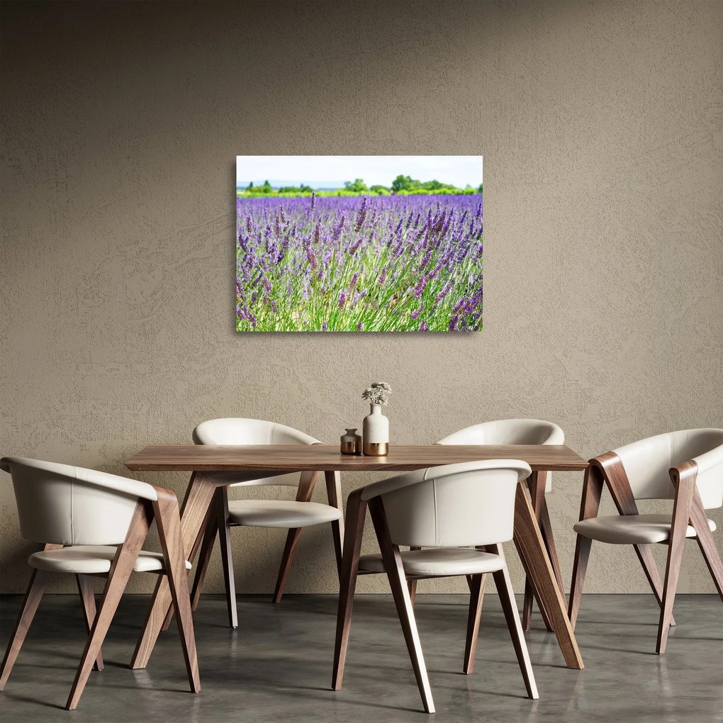 Egy mező képe a levendulával (üvegen) (70x50 cm)