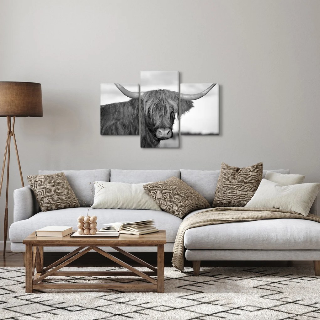 Kép - Skót tehén 2, fekete-fehér (90x60 cm)