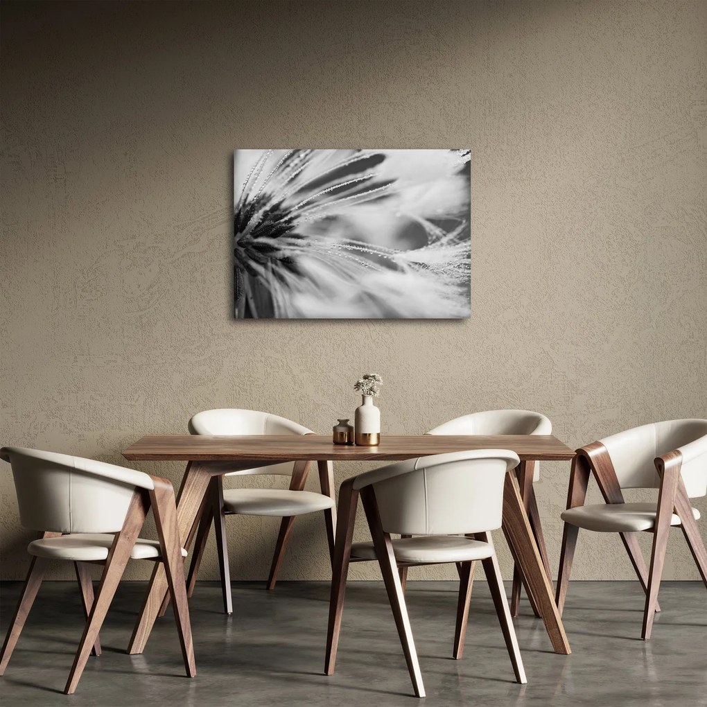 Kép - Makró, fekete-fehér (70x50 cm)
