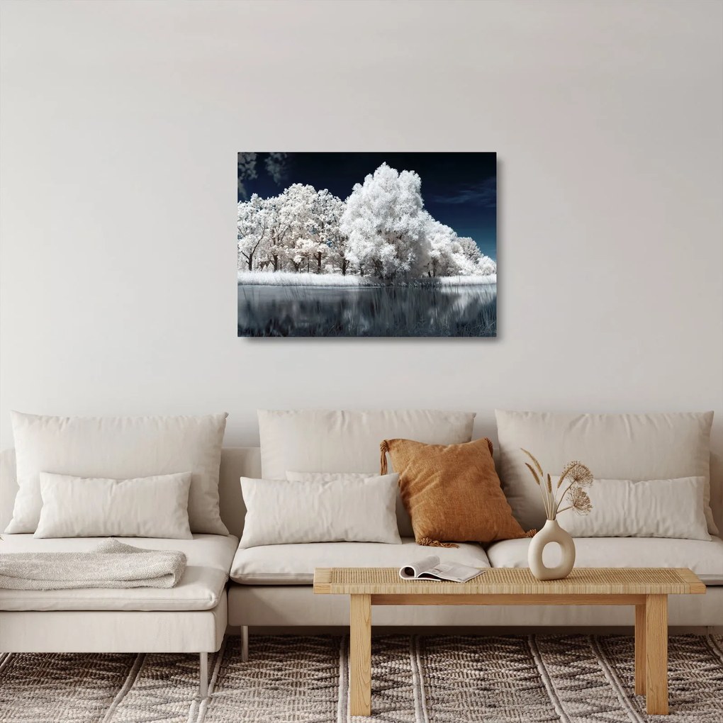 Üveg kép - Hófehér fák (70x50 cm)