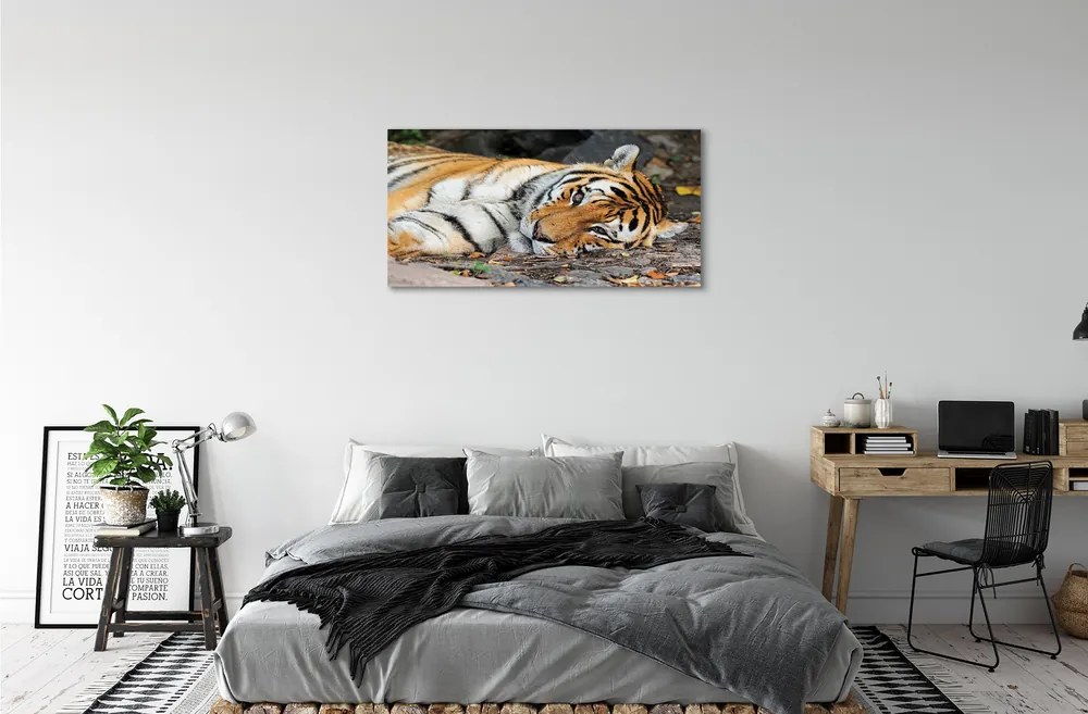 Canvas képek fekvő tigris 100x50 cm