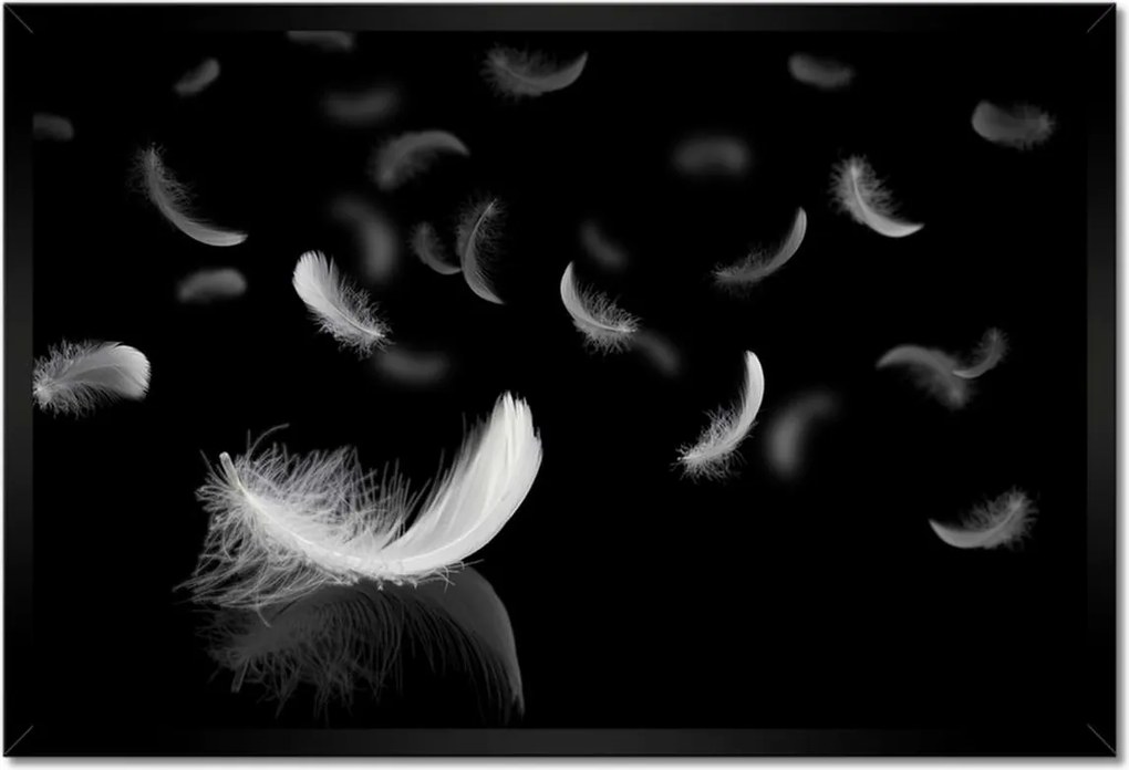 Poszter keretben 60x40 Hulló fehér tollak