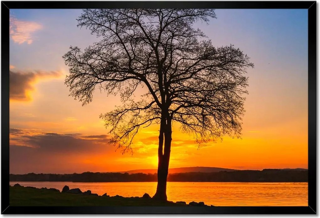 Poszterek keretben 60x40 Fa naplemente