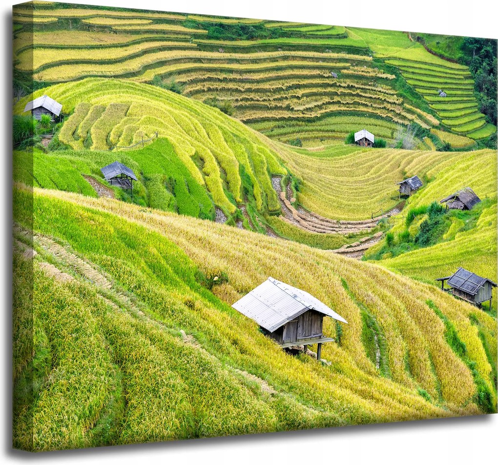 Vászonkép Természet Mezőgazdasági teraszok 50x40 cm