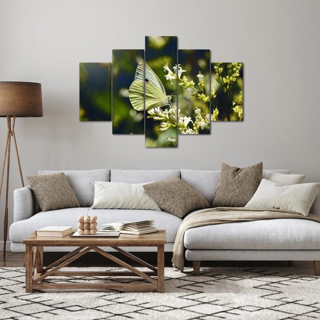 Pillangó képe (150x105 cm)