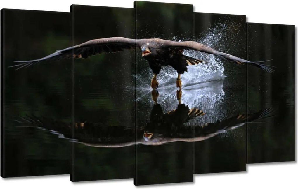 Vászonkép 100x60 Madarak