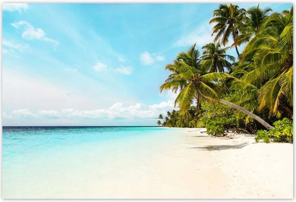 Poszterek 155x105 Trópusok Tájkép Pálmafák