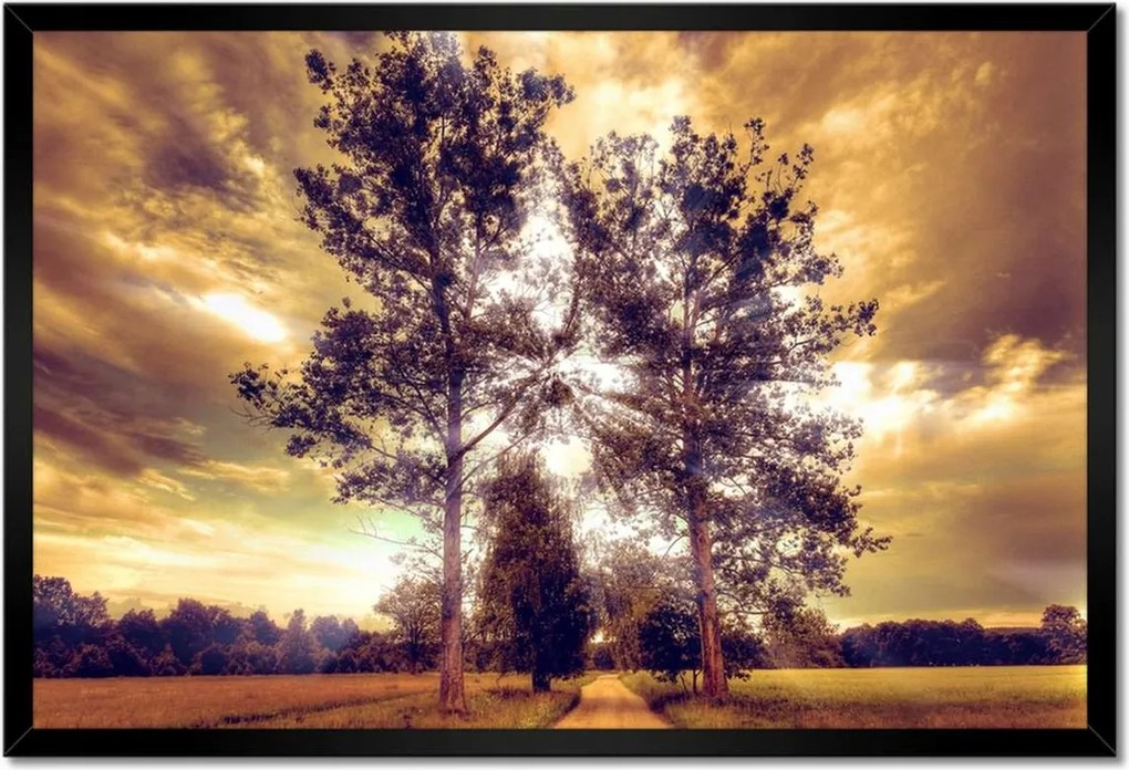 Poszterek keretben 60x40 Vidéki tájkép úttal