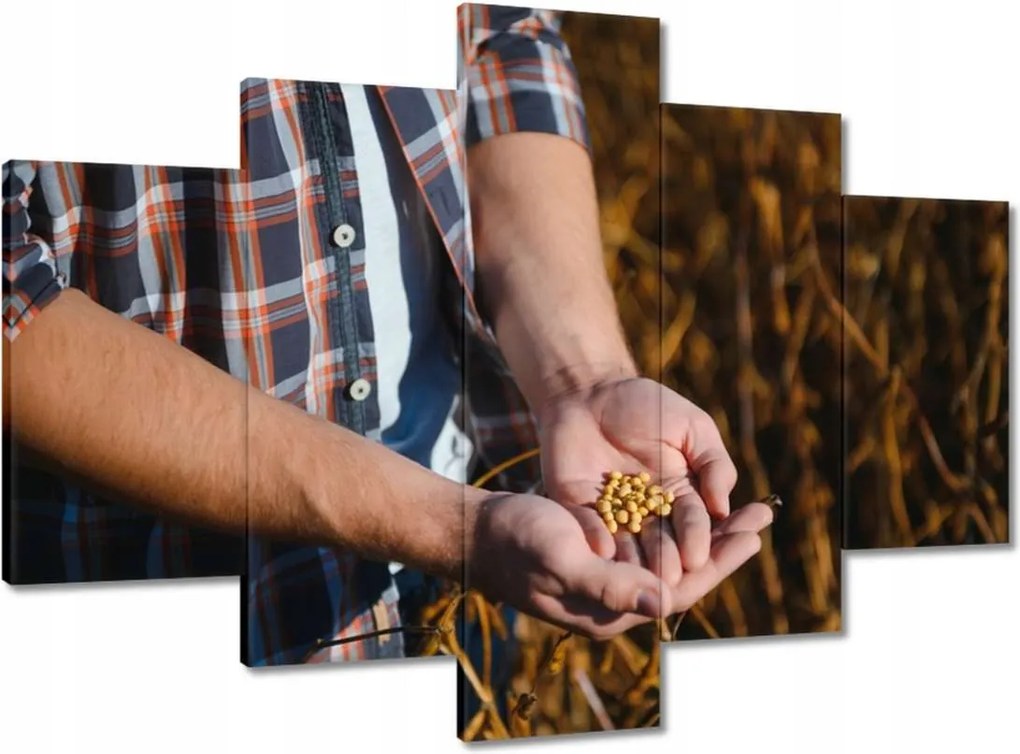 Képek 150x105 Egy marék mustármag