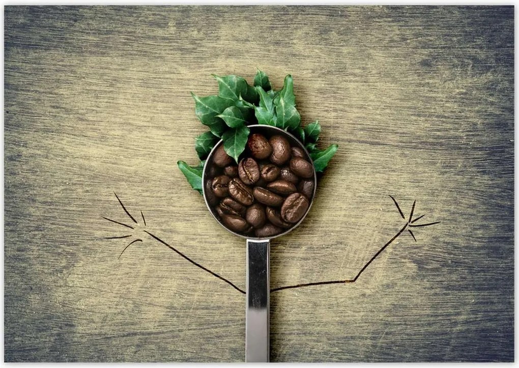 Poszterek 100x70 Kávé Kaffe