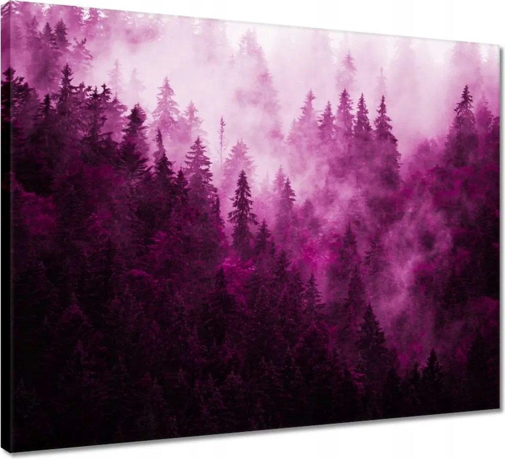 Vászonkép 50x40 Tájkép Rózsa Hegyek Köd