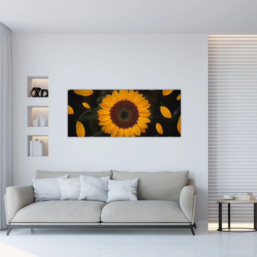 Kép - Napraforgók és a virágszirmok (120x50 cm)