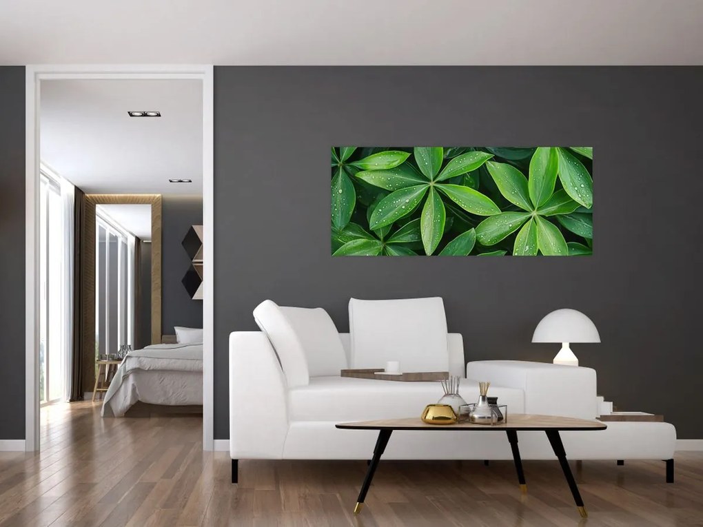 Kép - Levelek harmatcseppekkel (120x50 cm)