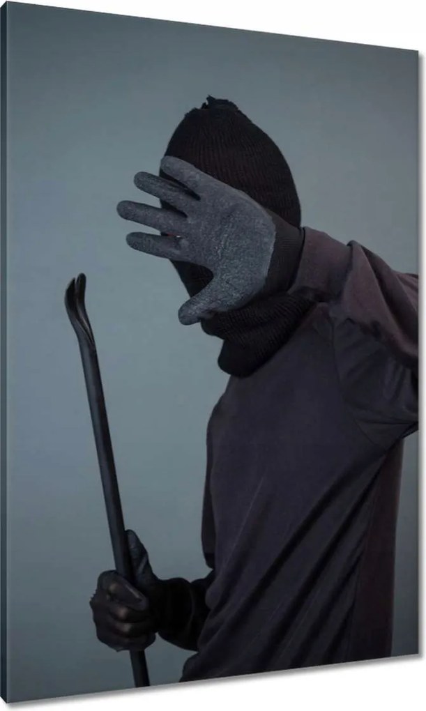 Vászonkép 70x100 Tolvaj Betörő Gonosz