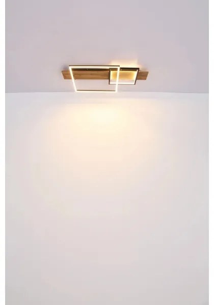 Globo 67289D1 - LED mennyezeti lámpa VANNI LED/24W/230V barna/fekete