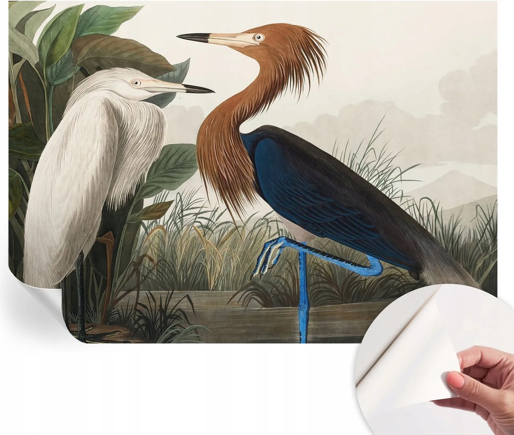 Öntapadós tapéta Fali furnér 3D hatás Madarak a növényekben 312x219 cm