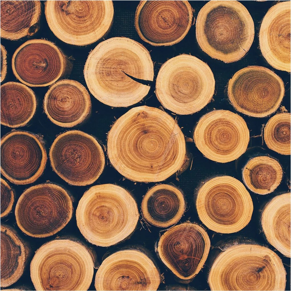 Flizelin fotótapéta Flizelin Design Fa körök 250x250