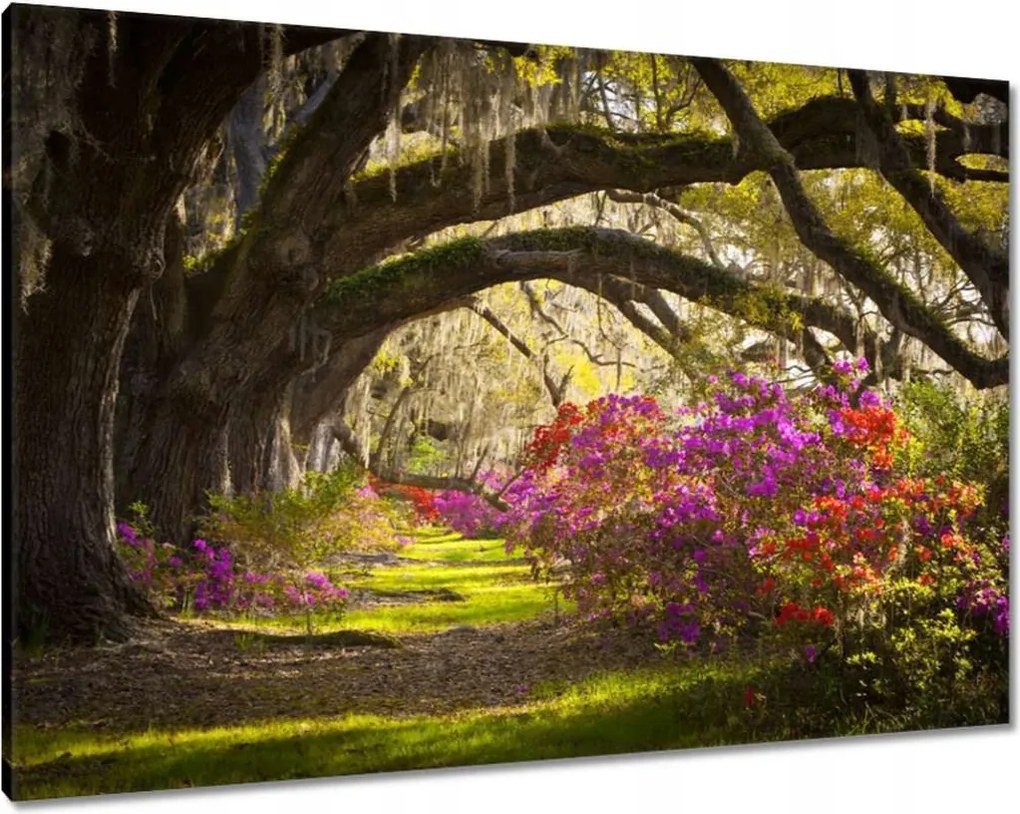 Vászonkép 100x70 Virágok a parkban