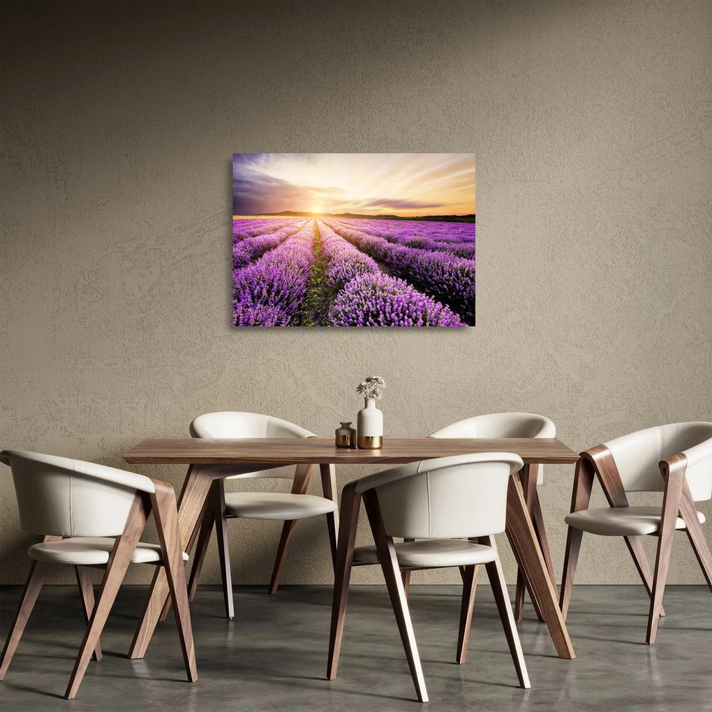 Üveg kép - Napfelkelte levendulamezőn (70x50 cm)