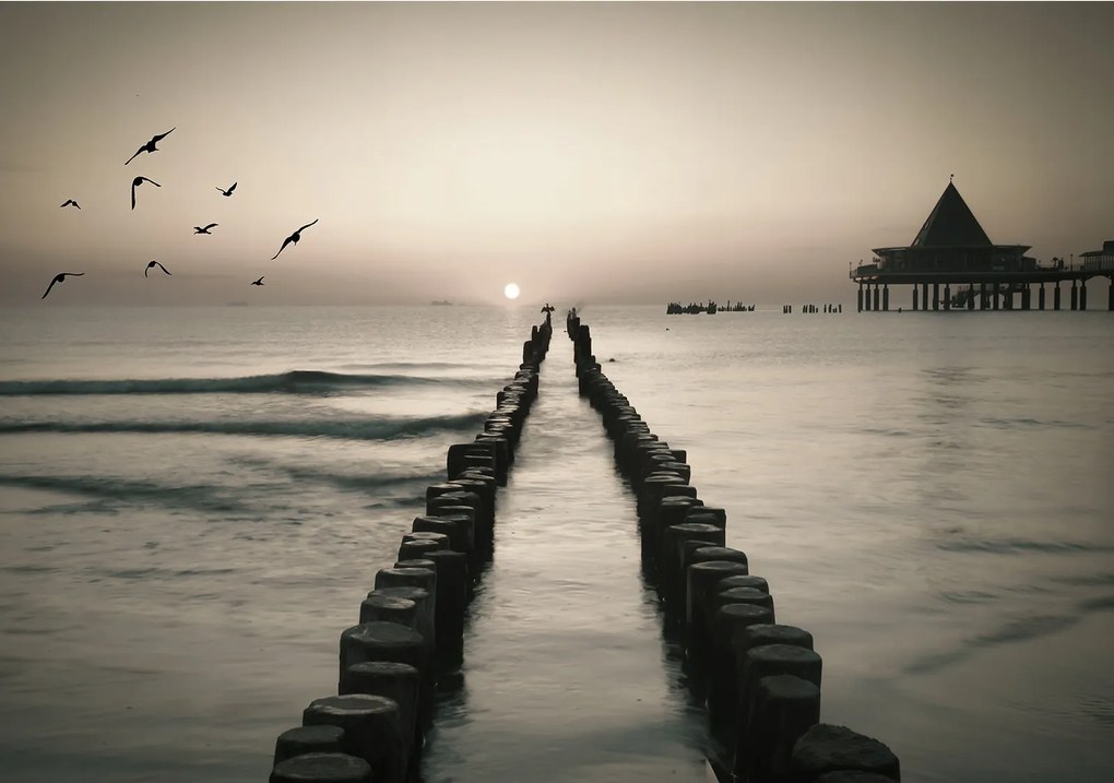 Fotótapéta Tenger Naplemente Madarak Fa cölöpök vinil 368x280 +ragasztó